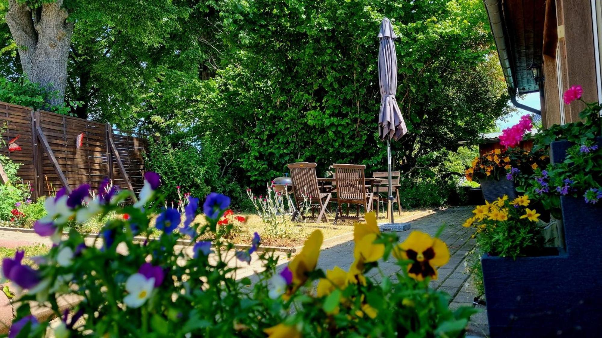 W5 - Urlaubsmagie - Wohnung Mit Grill, Terrasse & Pool Lichtenhain  Bagian luar foto