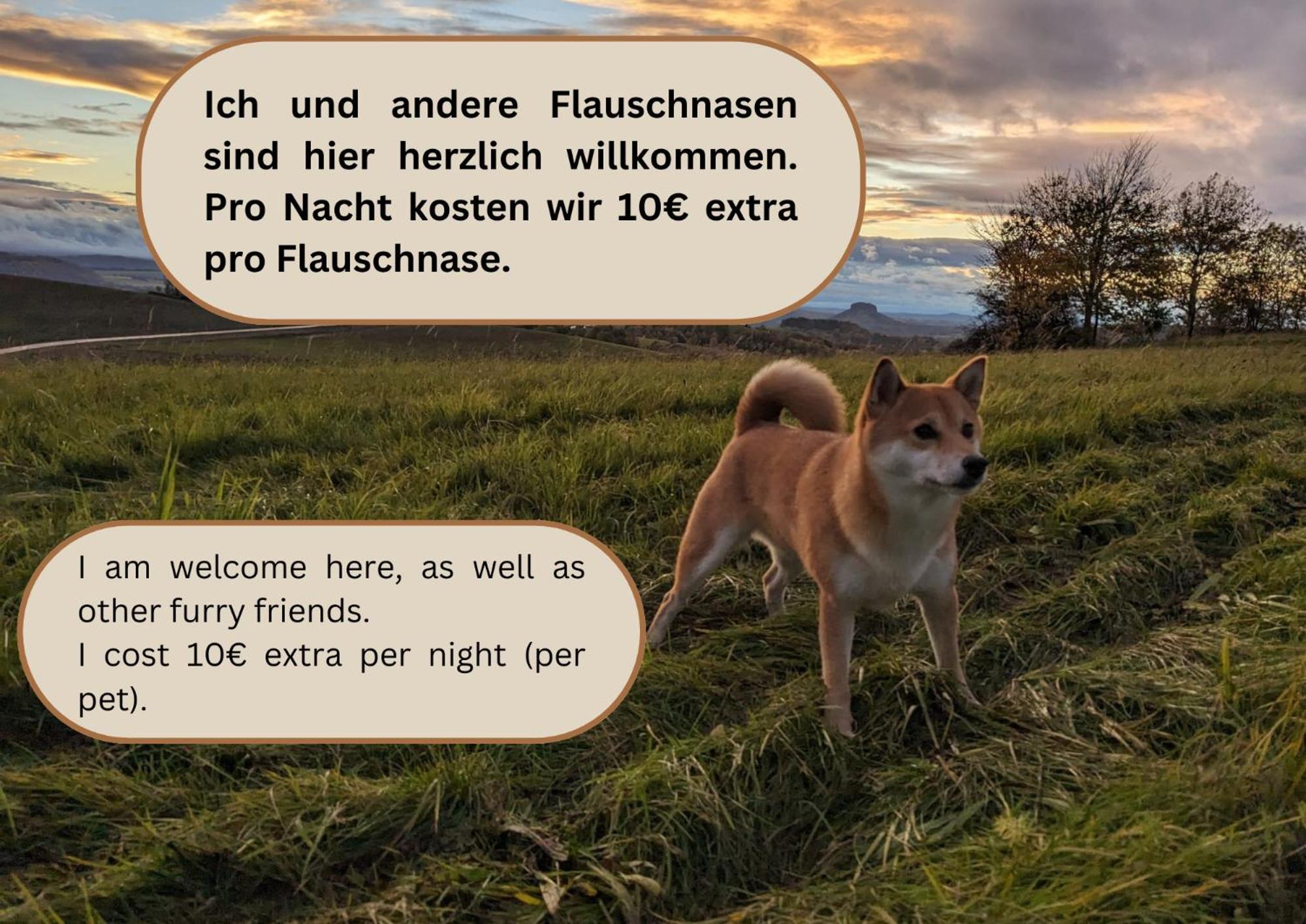 W5 - Urlaubsmagie - Wohnung Mit Grill, Terrasse & Pool Lichtenhain  Bagian luar foto